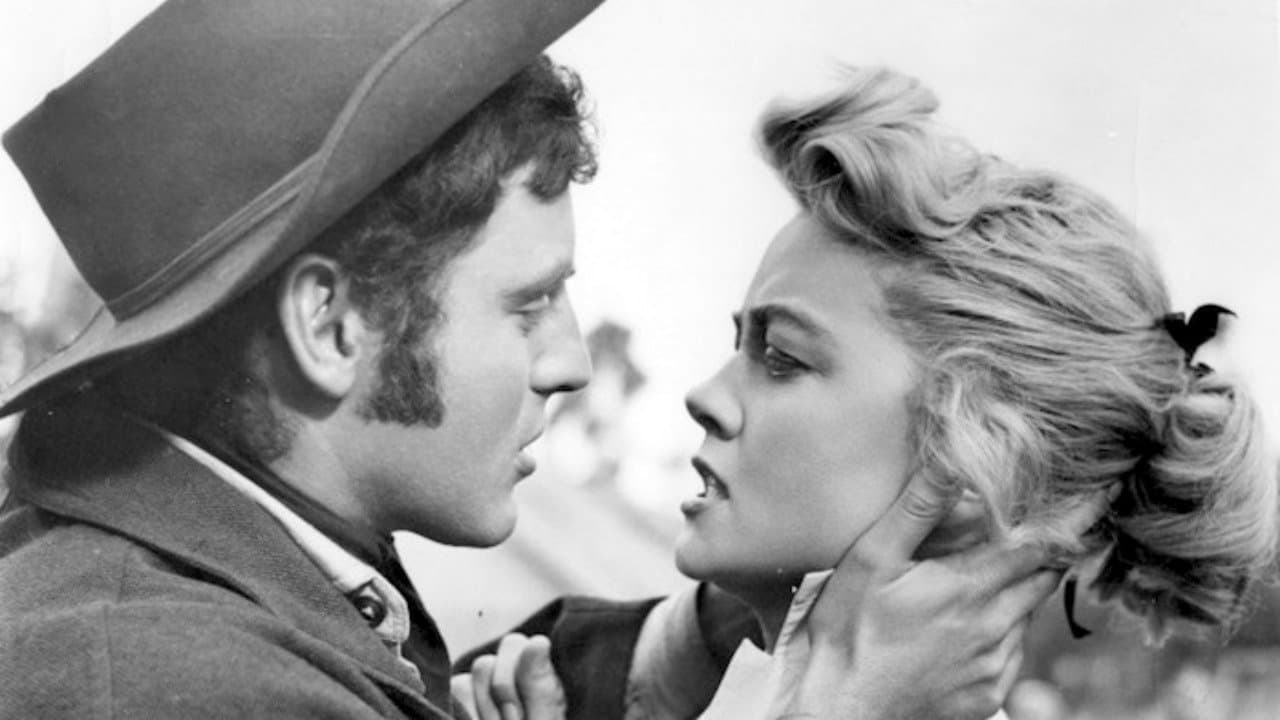 Fünf Revolver gehen nach Westen