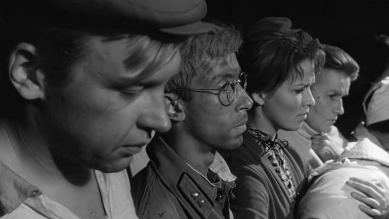 Письма к живым