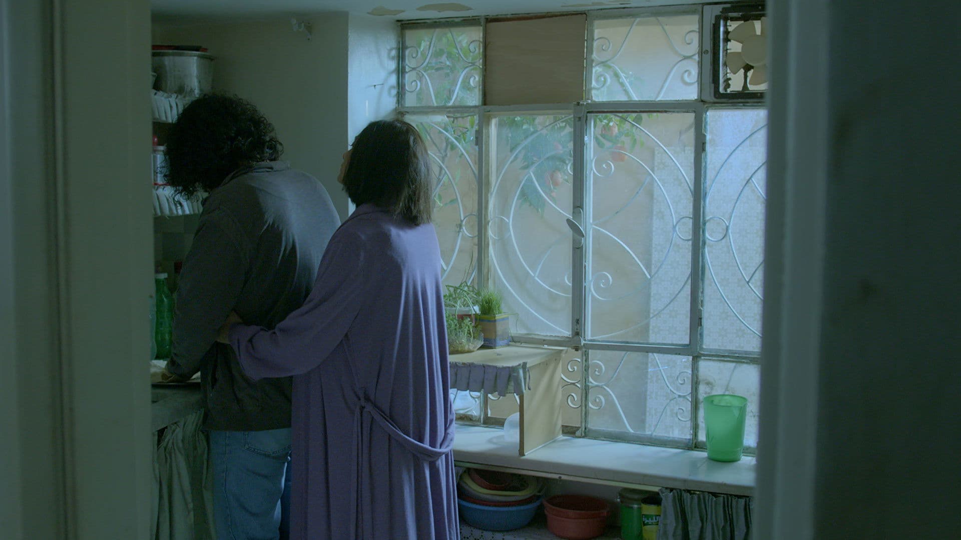 الحبل السري