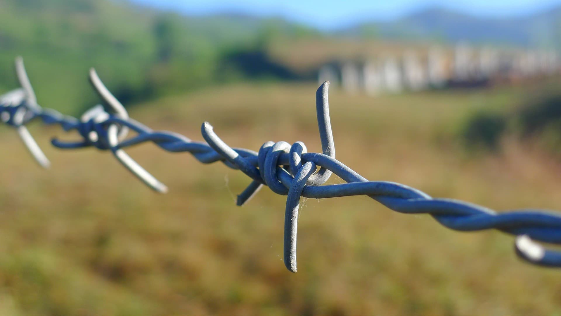 Backyard – Im Hinterhof zur Hölle