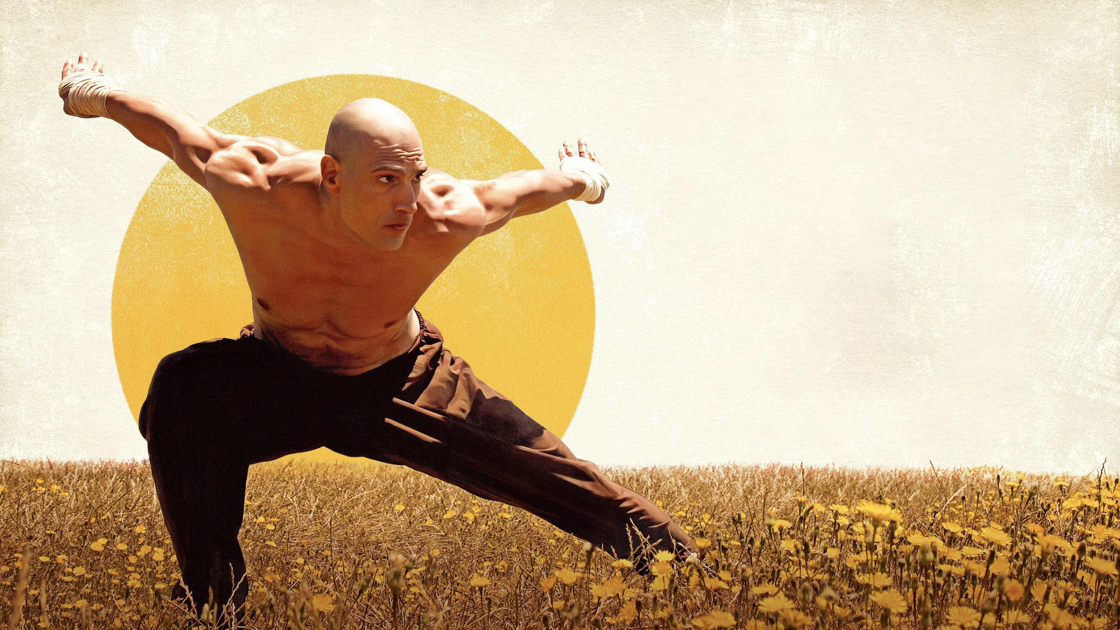 Die Faust des Condors