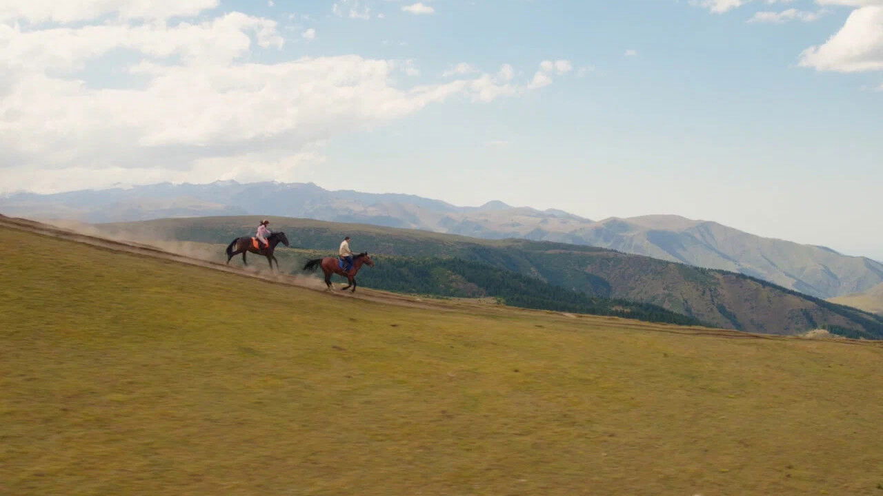 Мой любимый чемпион