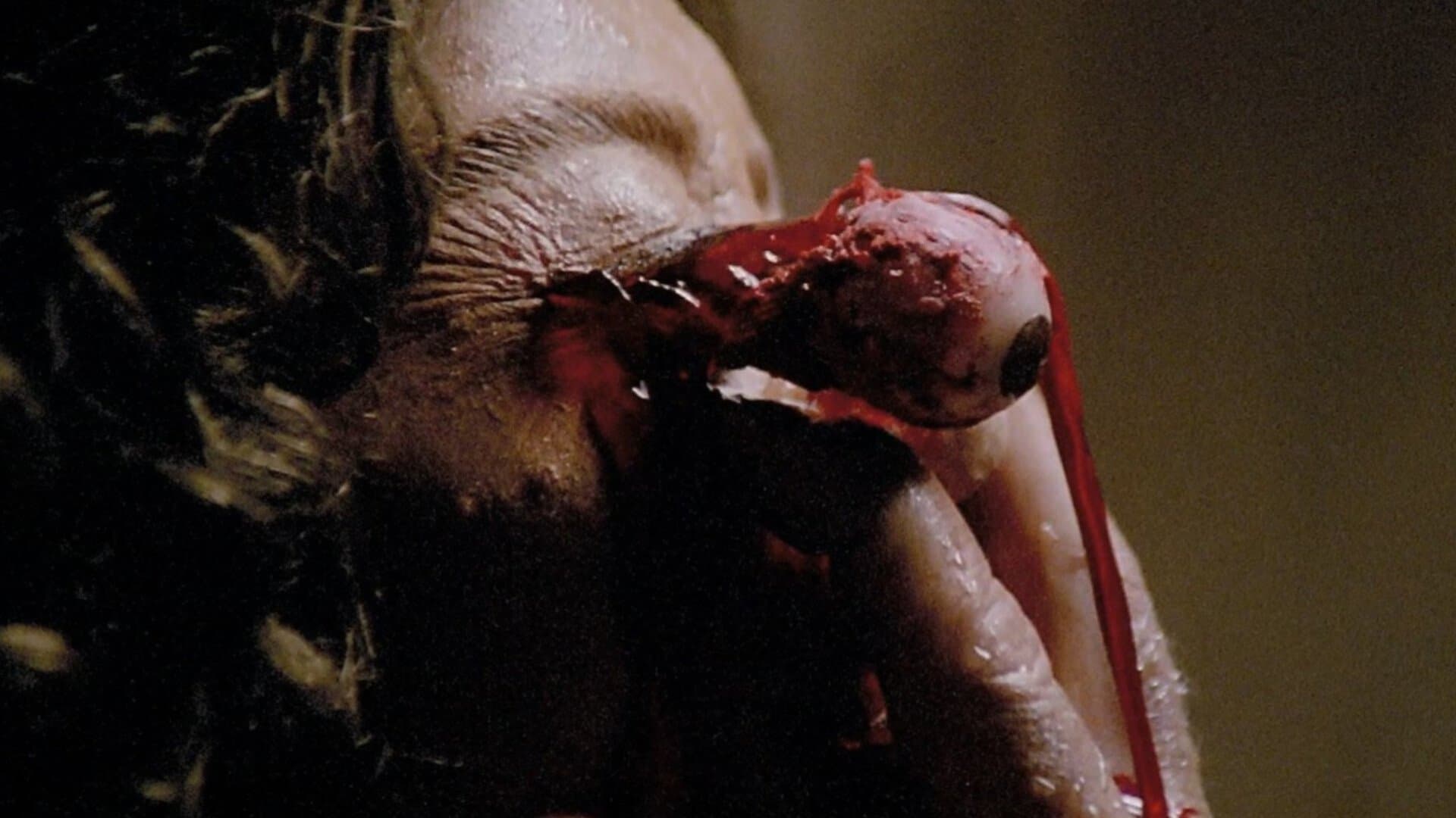 Die Geisterstadt der Zombies