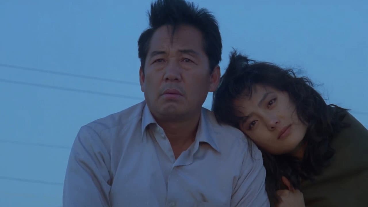 수탉