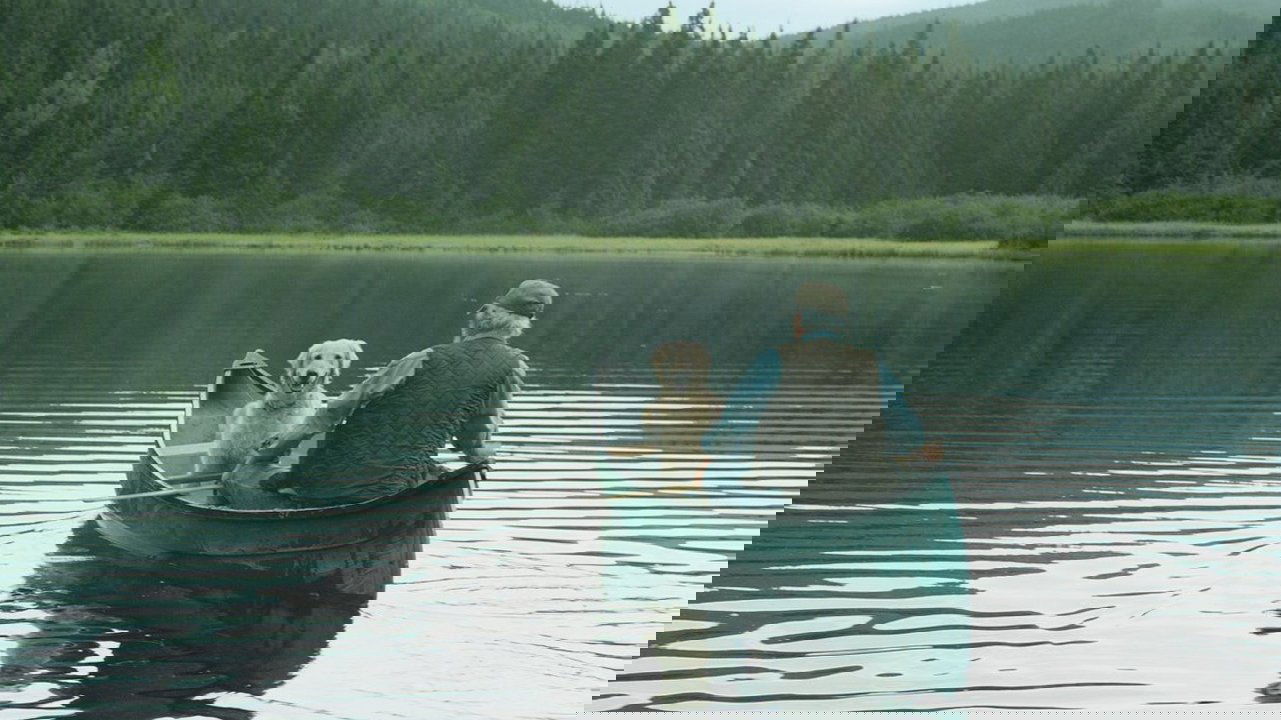 Il pleuvait des oiseaux