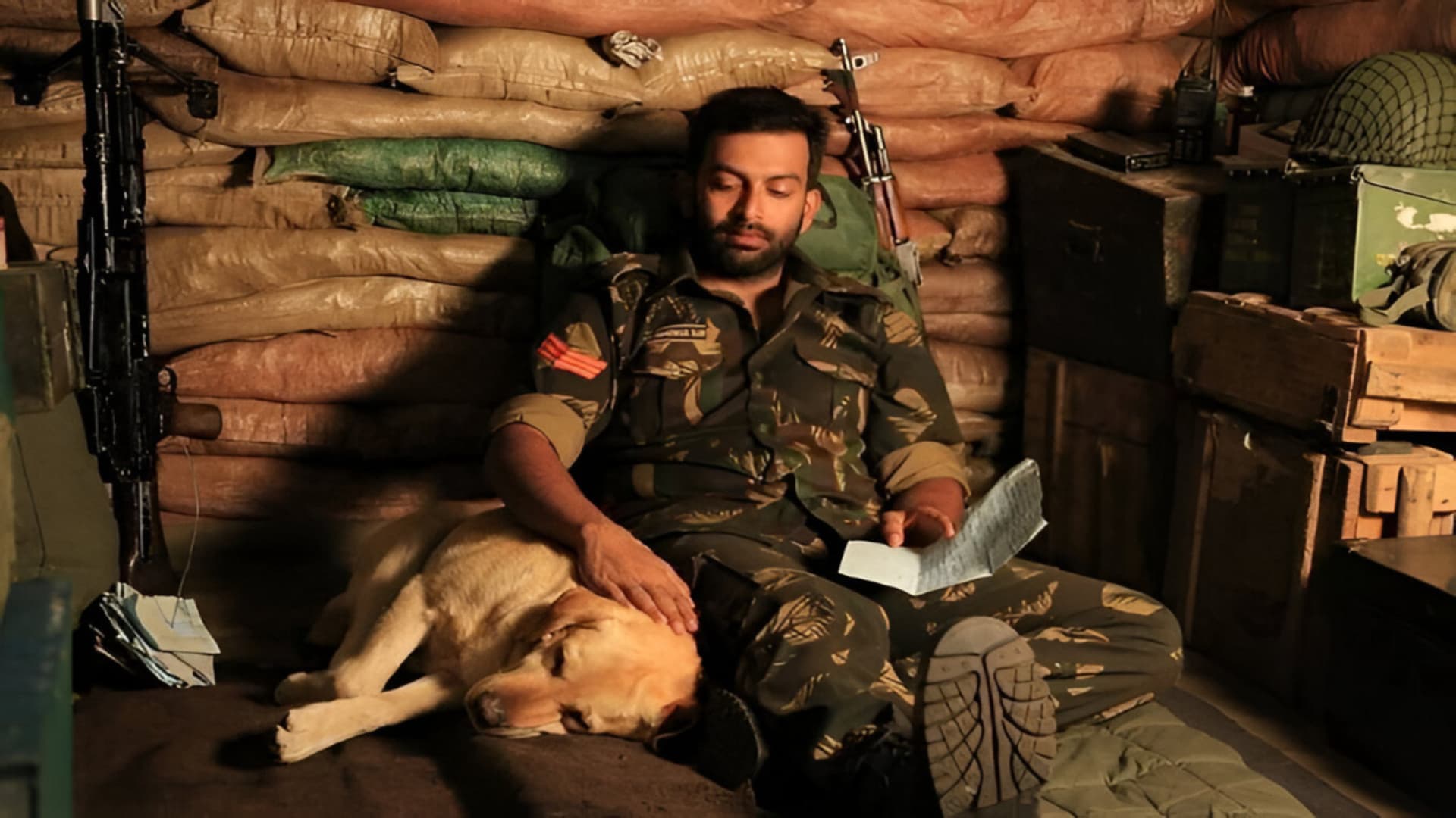 പിക്കറ്റ് 43