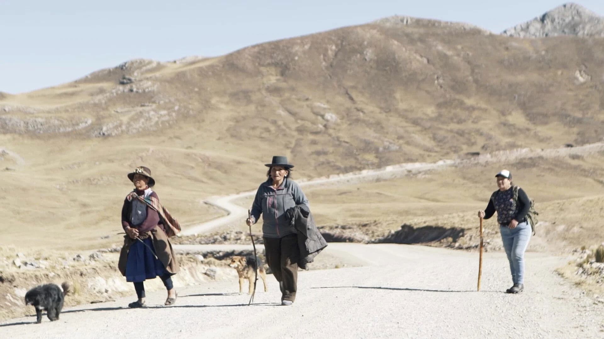 Este fue nuestro castigo