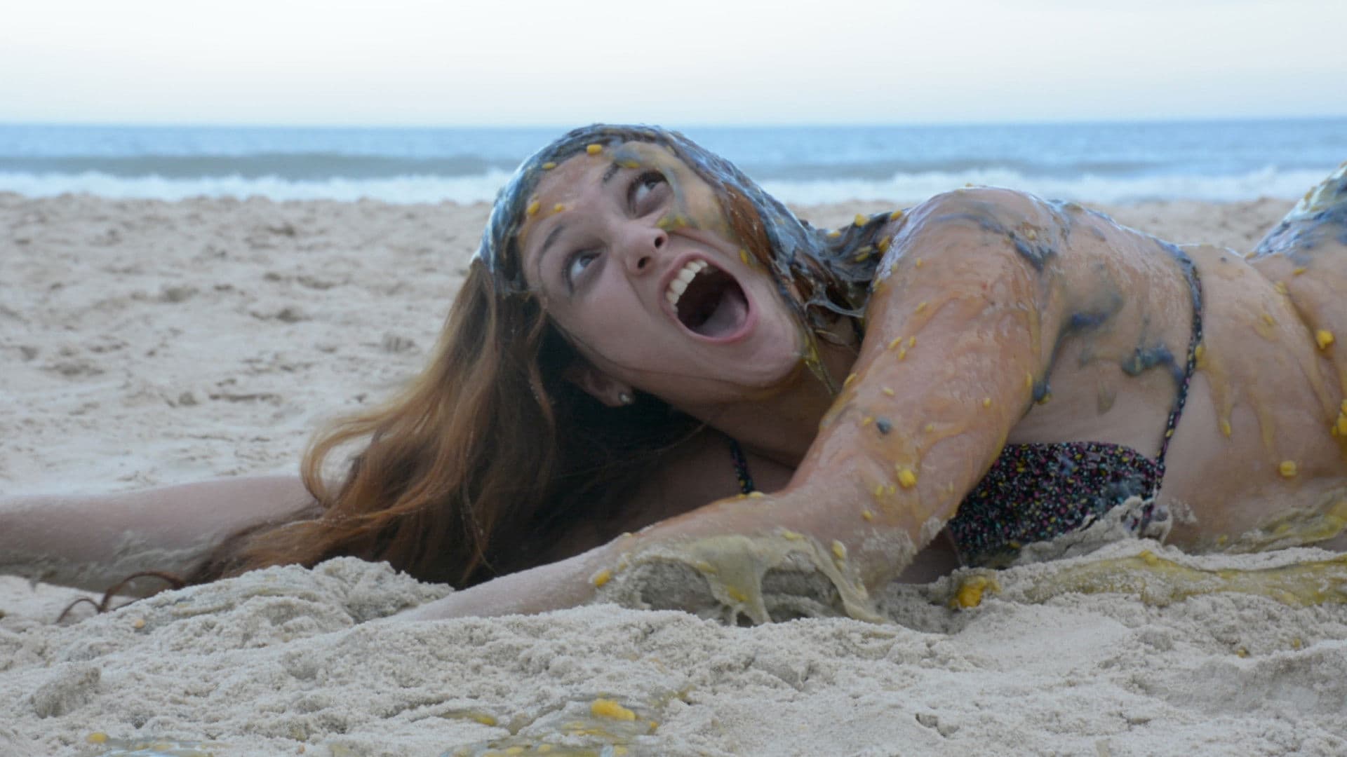 Pazucus: A Ilha do Desarrego