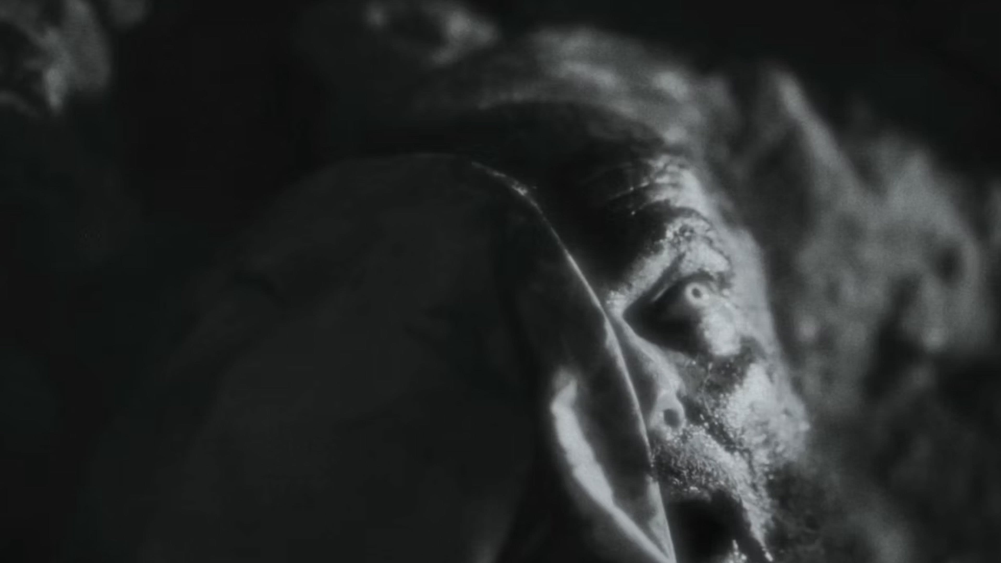 White Gardenia: The King James Bible