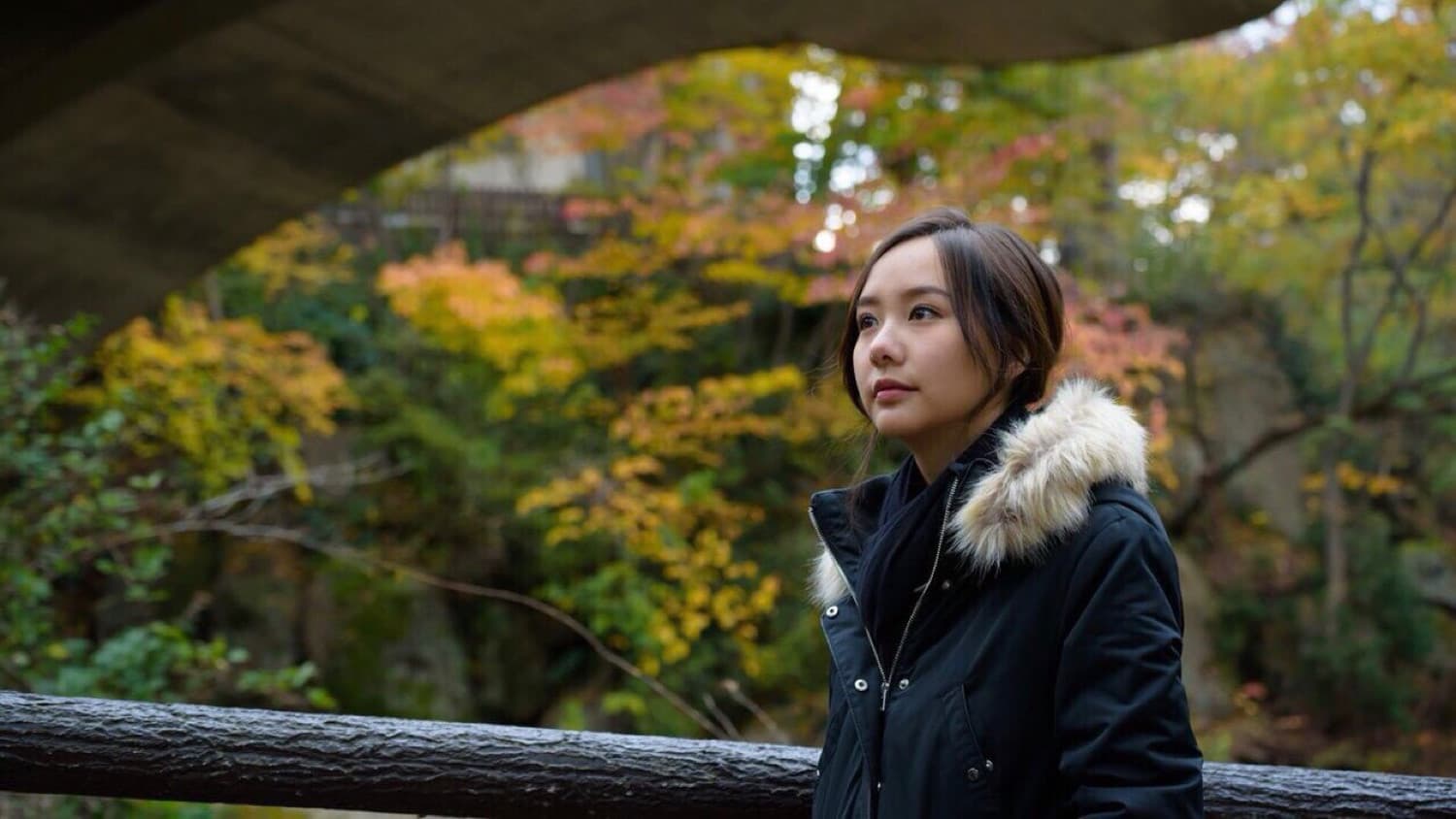 รักแท้...แพ้แรงดึงดูด