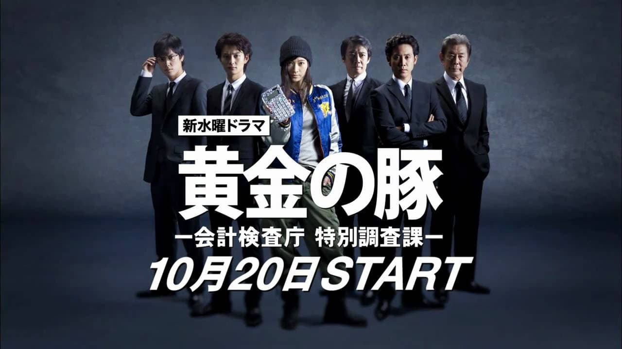 黄金の豚 －会計検査庁 特別調査課－