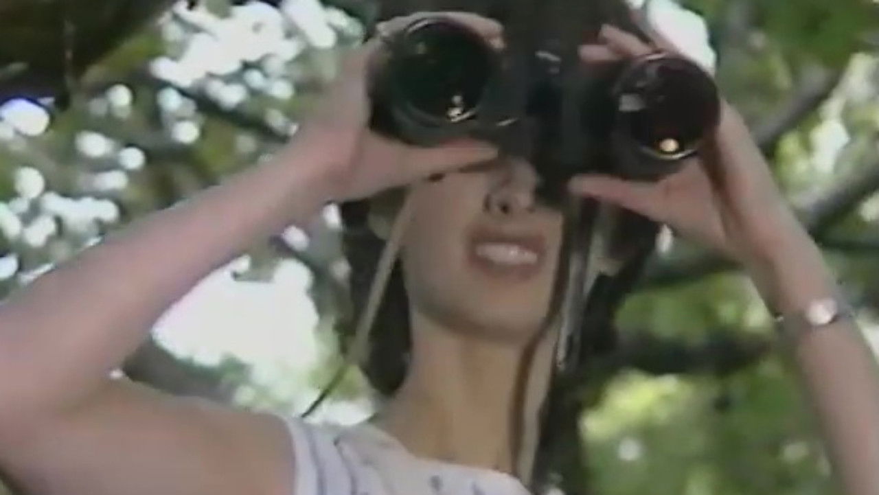 S.O.S. Galw Gari Tryfan