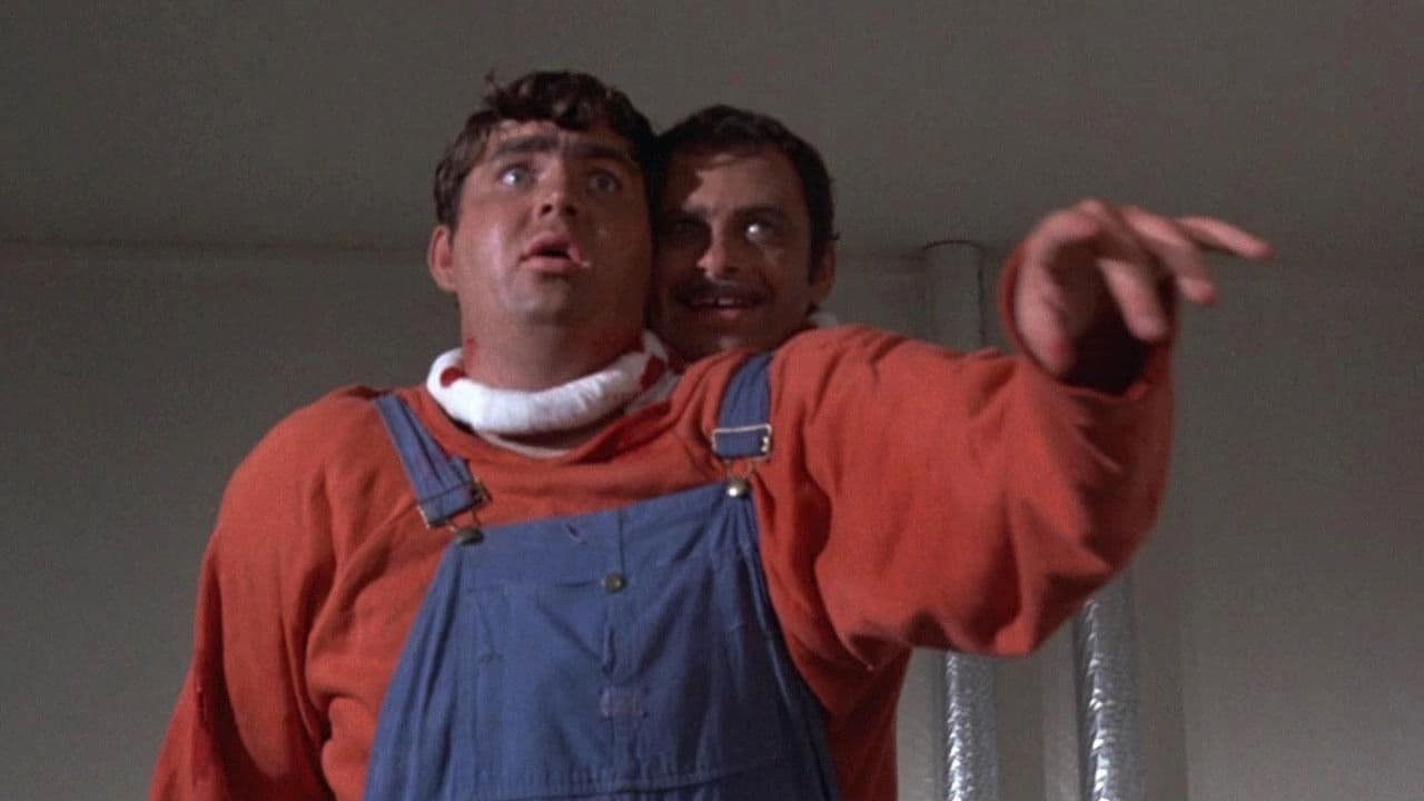 Der Mann mit den zwei Köpfen