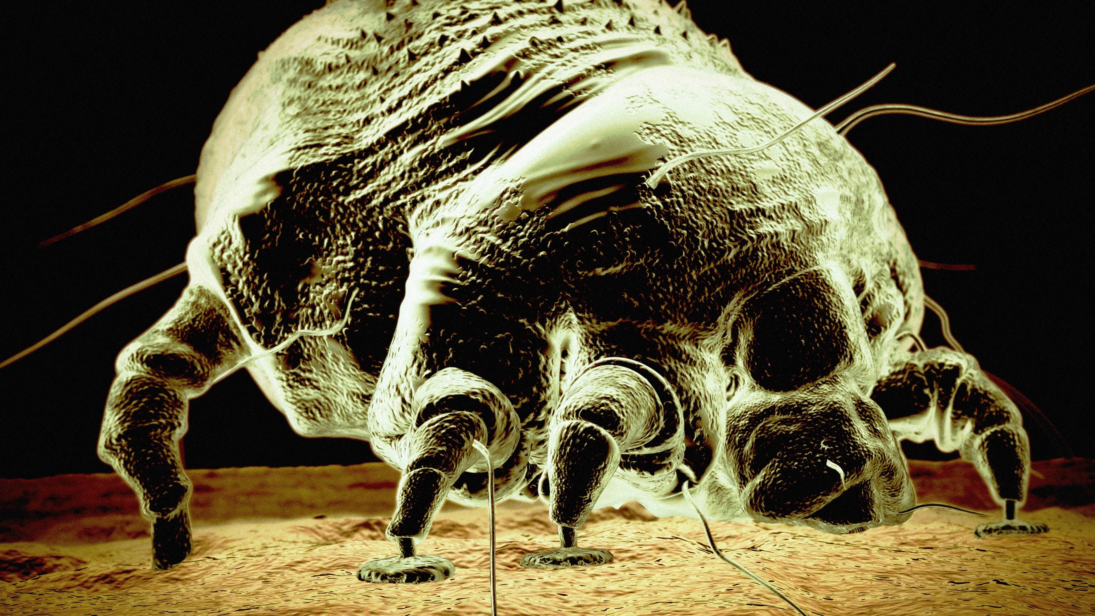 Der Feind in meinem Körper