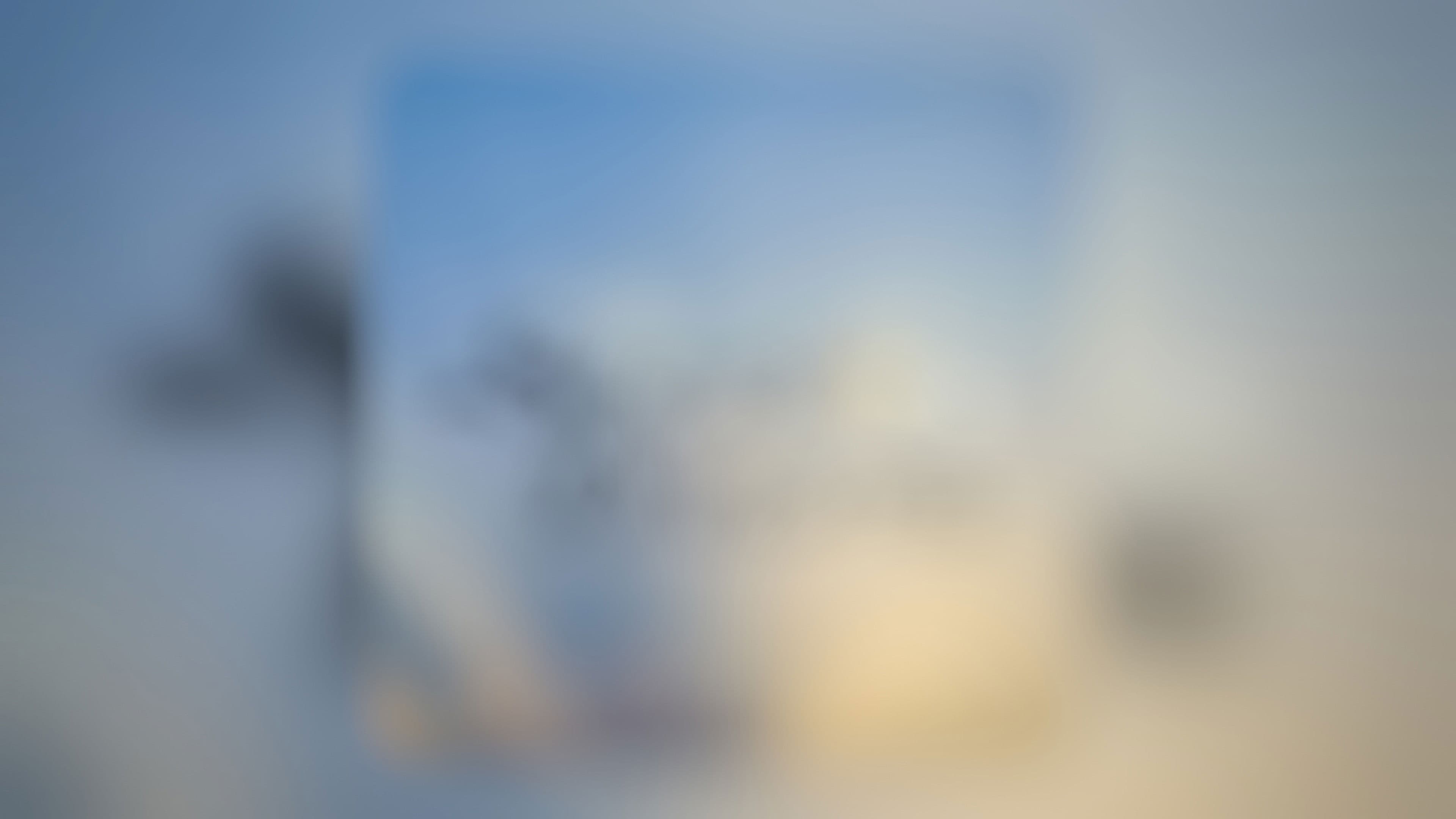 Social Dreams Series