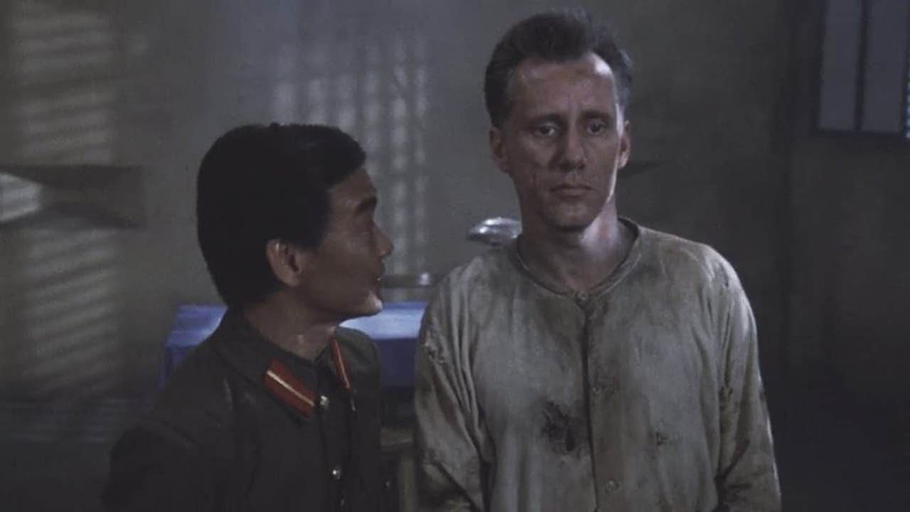 P.O.W. - Prisoner of War