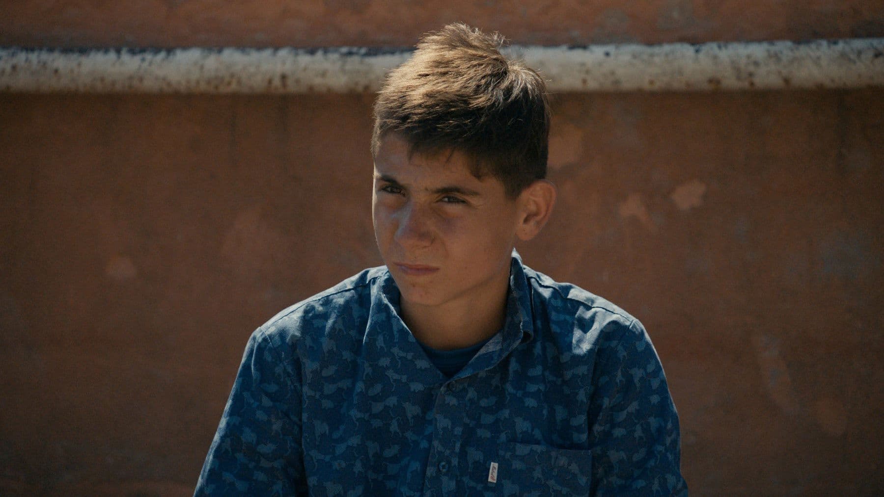 Un monde sans bêtes