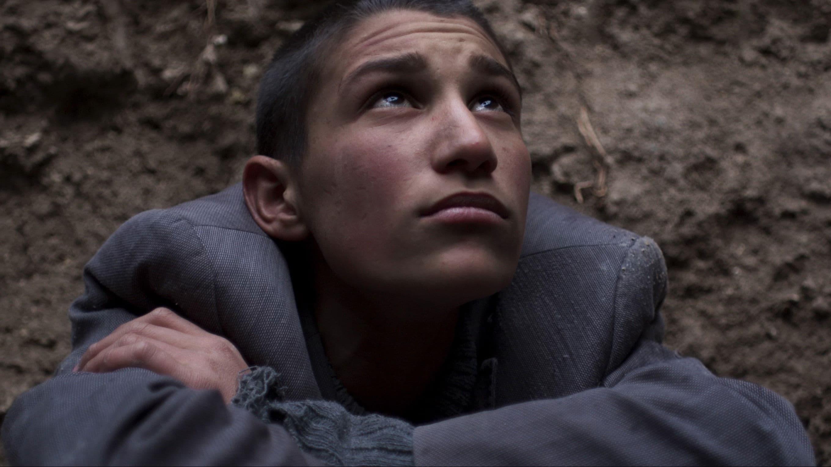 Tavşan İmparatorluğu