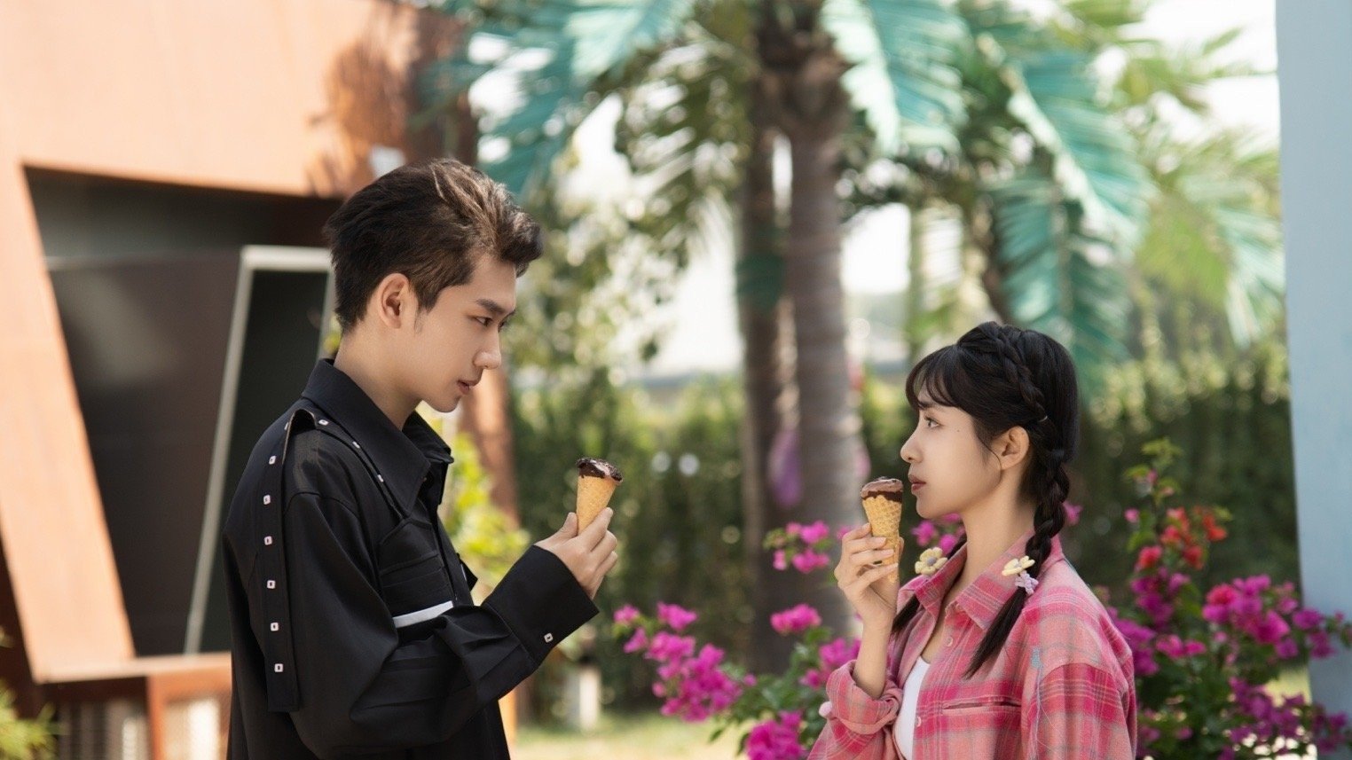 从天而降的幸运星