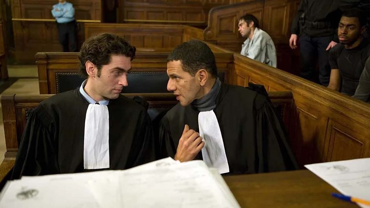 Der Pflichtverteidiger