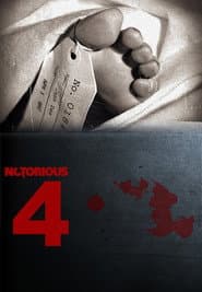 Staffel 4