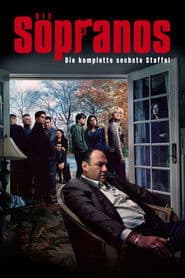 Staffel 6