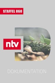 Staffel 860
