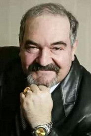 Владислав Метелица