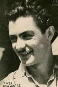 გოჩა აბაშიძე