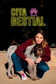 Staffel 3