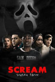 Staffel 3