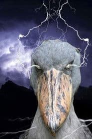 Ruben Johnson-Murphy