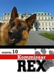 Staffel 10