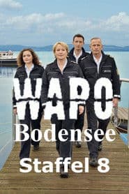Staffel 8