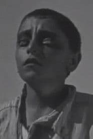 แแแแแแแแ แญแแแฃแ แแแ