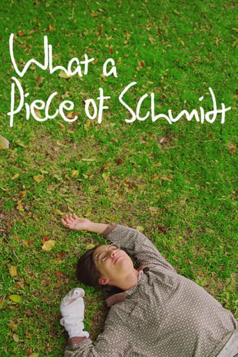 What a Piece of Schmidt