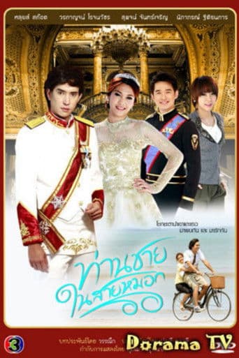 ท่านชายในสายหมอก