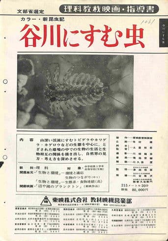 新昆虫記・谷川にすむ虫