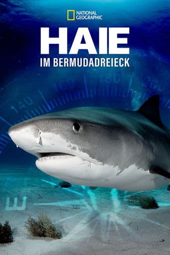 Sharks of the Bermuda Triangle
