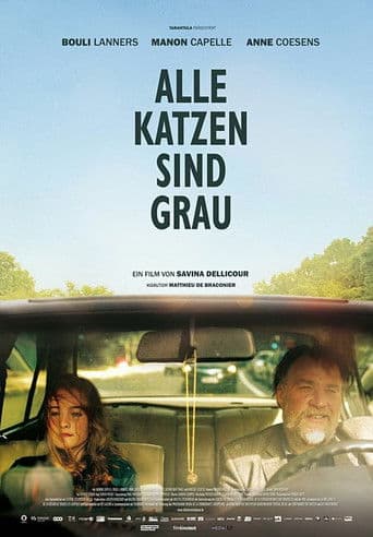 Alle Katzen sind grau