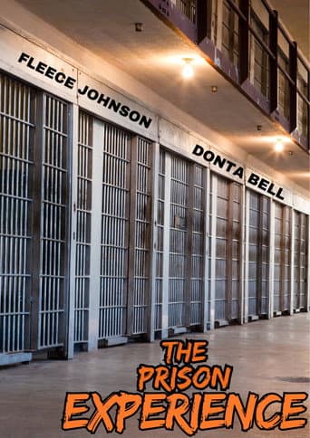 The Prison Experience