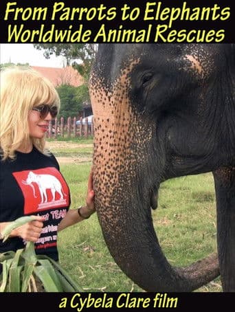 From Parrots to Elephants: Worldwide Animal Rescues