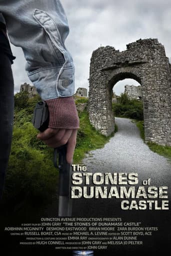 The Stones of Dunamase Castle