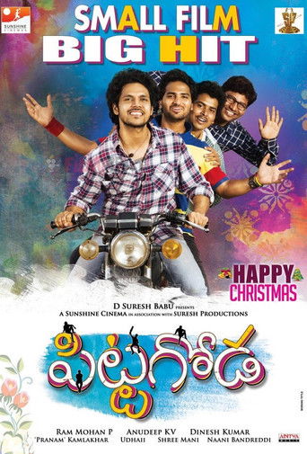 పిట్టగోడ