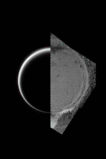 I’m Trying to Speak the Language of My Eyes