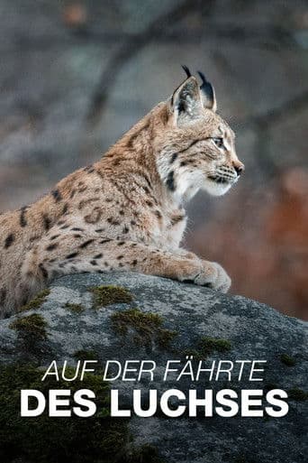 Auf der Fährte des Luchses