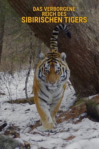 Das verborgene Reich des Sibirischen Tigers