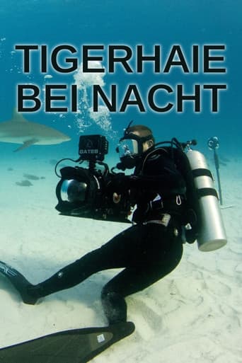 Tigerhaie bei Nacht