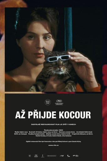 Wenn der Kater kommt