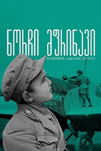 ნორჩი მფრინავი